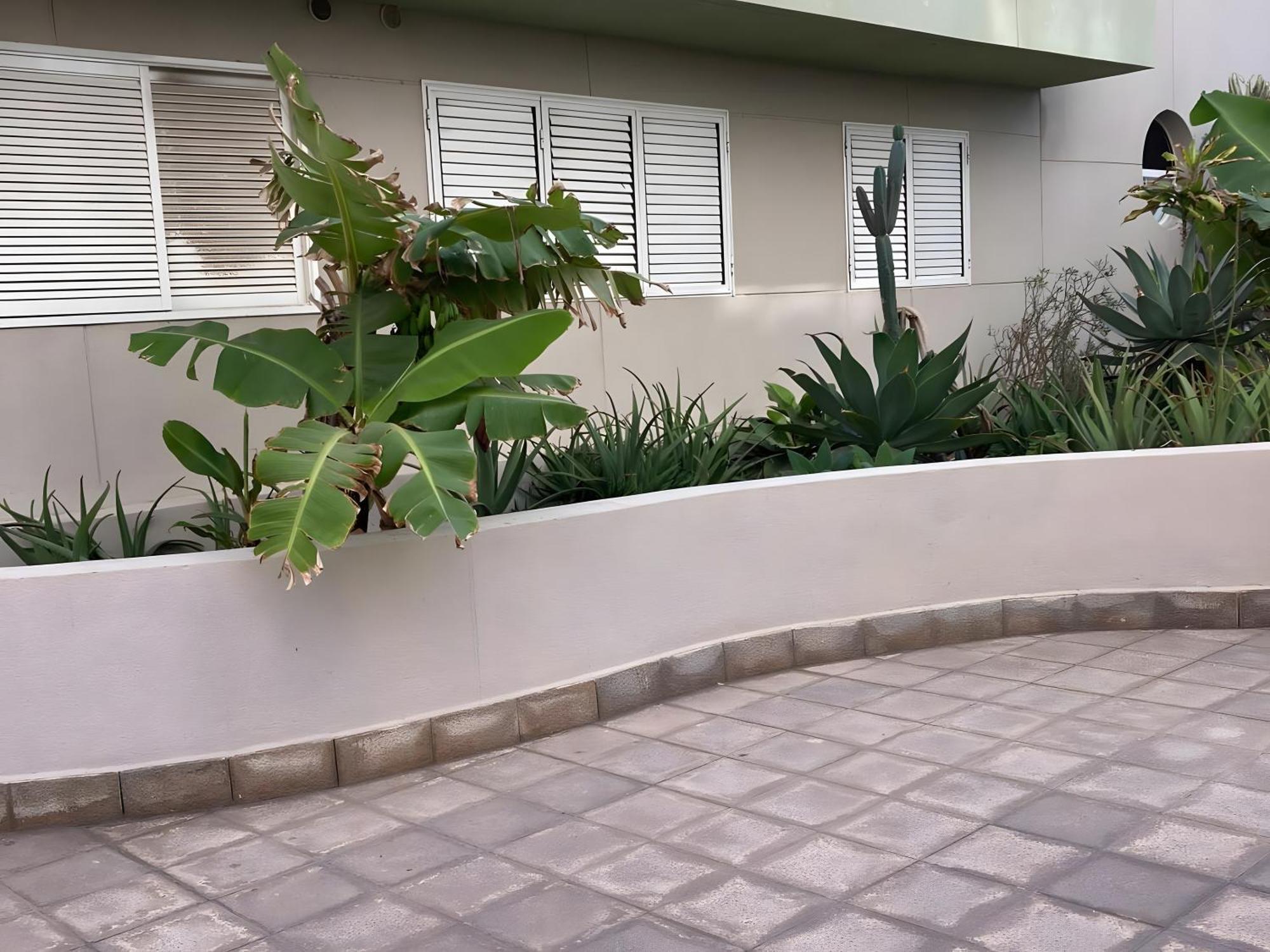 El Medano By Agueita Salada Suites المظهر الخارجي الصورة